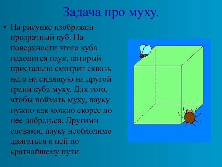 Задача про муху. На рисунке изображен прозрачный куб. На поверхности этого