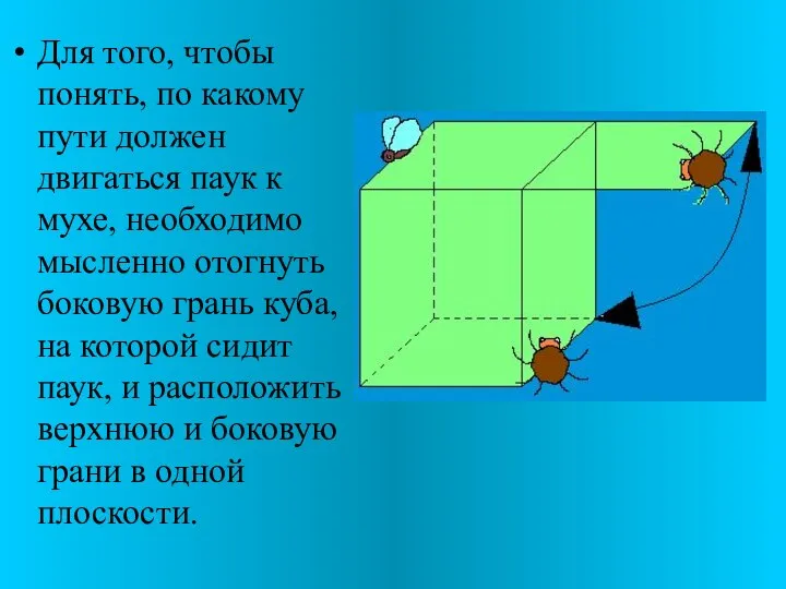 Для того, чтобы понять, по какому пути должен двигаться паук к