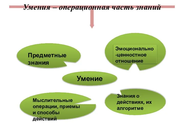 Умения – операционная часть знаний Знания о действиях, их алгоритме