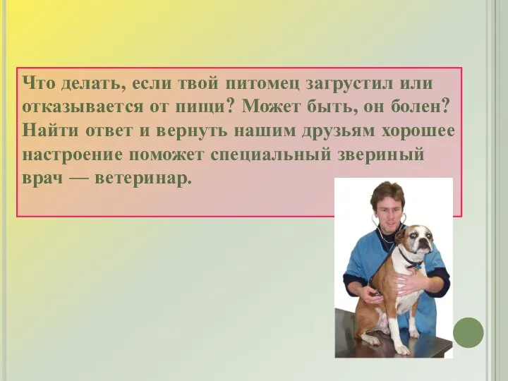 Что делать, если твой питомец загрустил или отказывается от пищи? Может