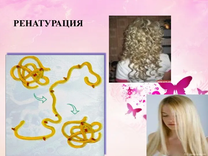 РЕНАТУРАЦИЯ