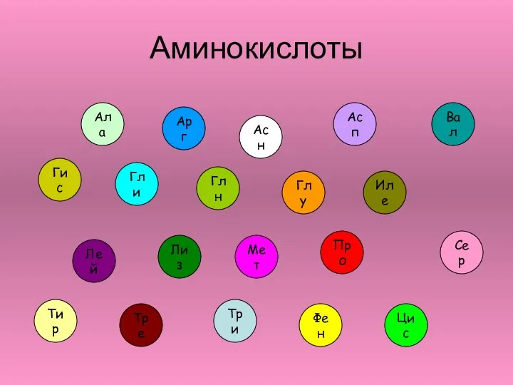 Аминокислоты Ала Арг Асн Асп Вал Гис Гли Глн Глу Иле