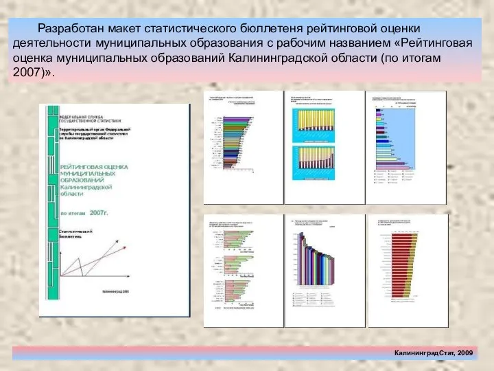 Разработан макет статистического бюллетеня рейтинговой оценки деятельности муниципальных образования с рабочим