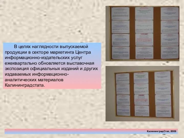 КалининградСтат, 2009 В целях наглядности выпускаемой продукции в секторе маркетинга Центра