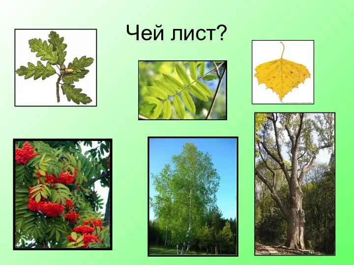 Чей лист?