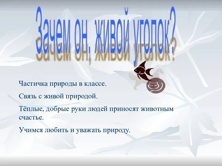 Зачем он, живой уголок? Частичка природы в классе. Связь с живой