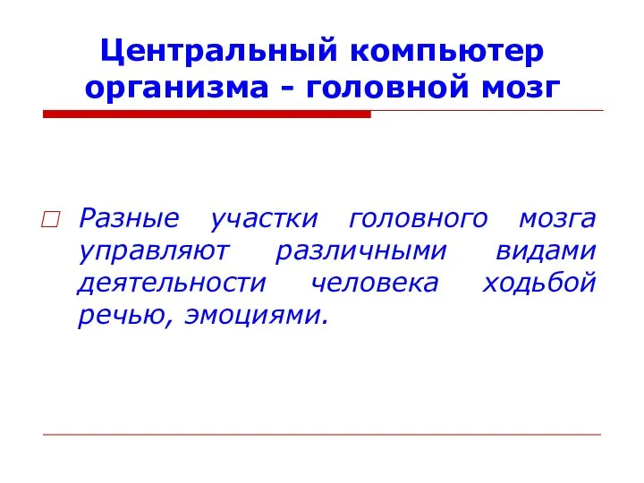 Центральный компьютер организма - головной мозг Разные участки головного мозга управляют