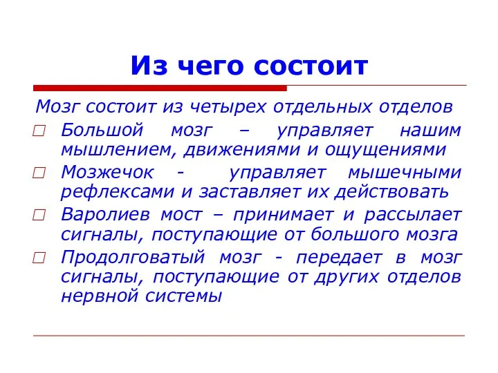 Из чего состоит Мозг состоит из четырех отдельных отделов Большой мозг