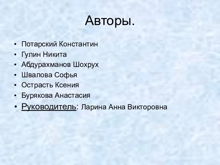 Авторы. Потарский Константин Гулин Никита Абдурахманов Шохрух Швалова Софья Острасть Ксения