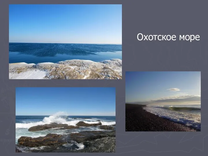 Охотское море