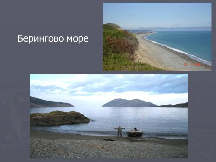 Берингово море