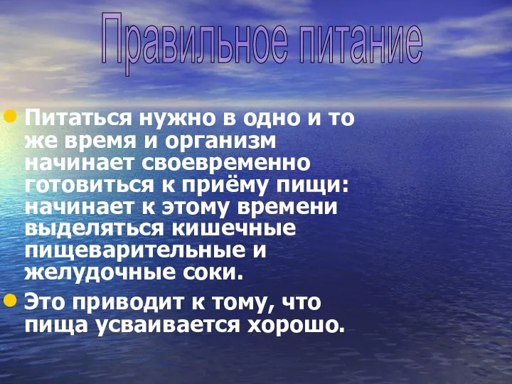 Питаться нужно в одно и то же время и организм начинает