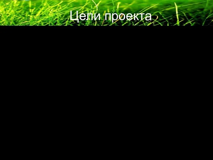 Цели проекта Изучить комплекс проблем, связанных с загрязнением вод р. Б.