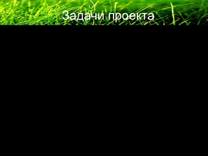 Задачи проекта Знакомство с теорией по данному вопросу; Описание географического положения