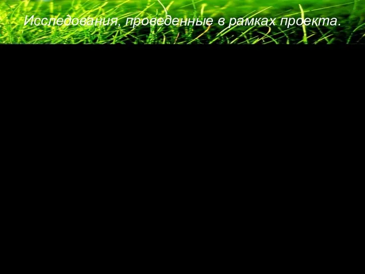 Исследования, проведенные в рамках проекта.