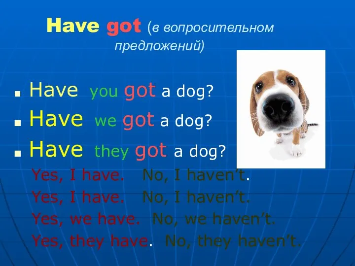 Have got (в вопросительном предложений) Have you got a dog? Have