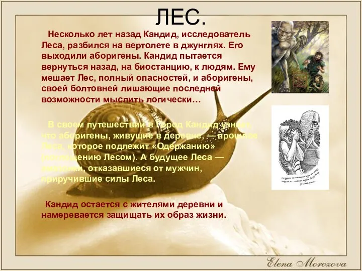 ЛЕС. Несколько лет назад Кандид, исследователь Леса, разбился на вертолете в