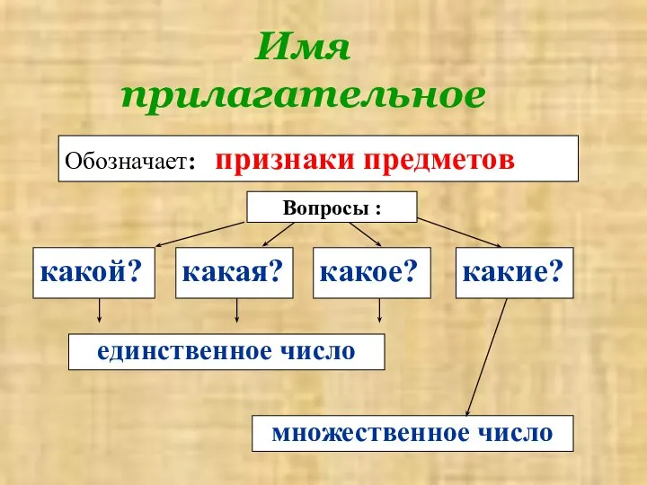 Имя прилагательное какой? Вопросы : Обозначает: признаки предметов какая? какое? какие? единственное число множественное число