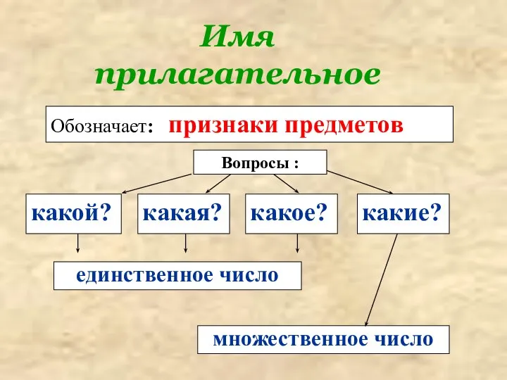 Имя прилагательное какой? Вопросы : Обозначает: признаки предметов какая? какое? какие? единственное число множественное число