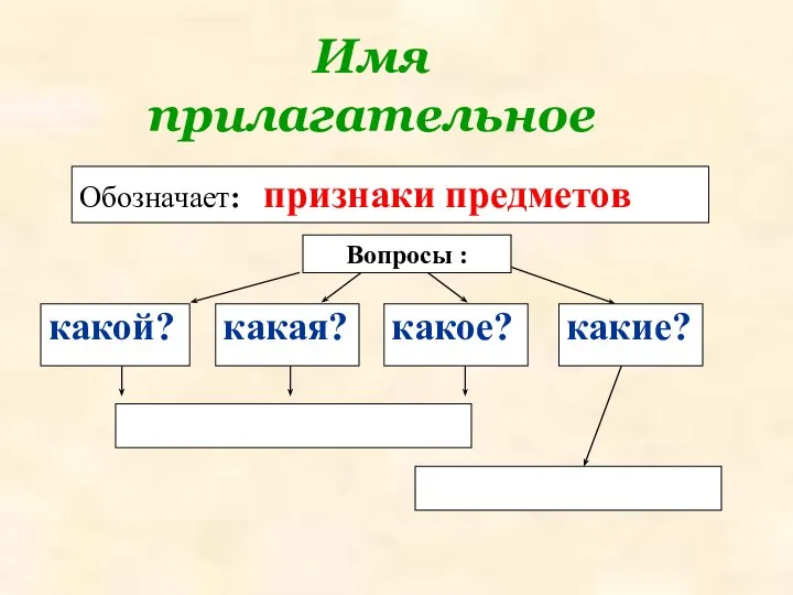 Имя прилагательное Вопросы : Обозначает: признаки предметов какой? какая? какое? какие?