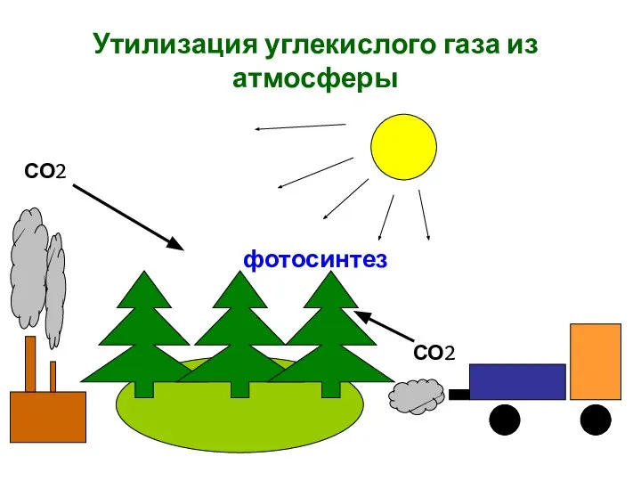 фотосинтез Утилизация углекислого газа из атмосферы