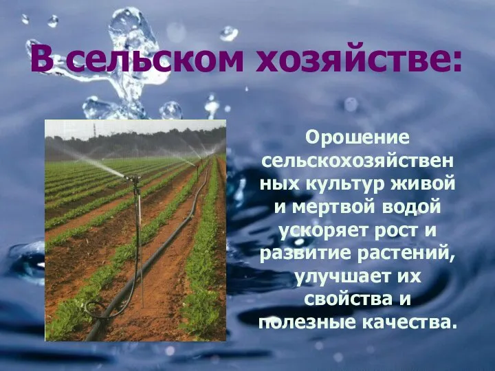 В сельском хозяйстве: Орошение сельскохозяйственных культур живой и мертвой водой ускоряет