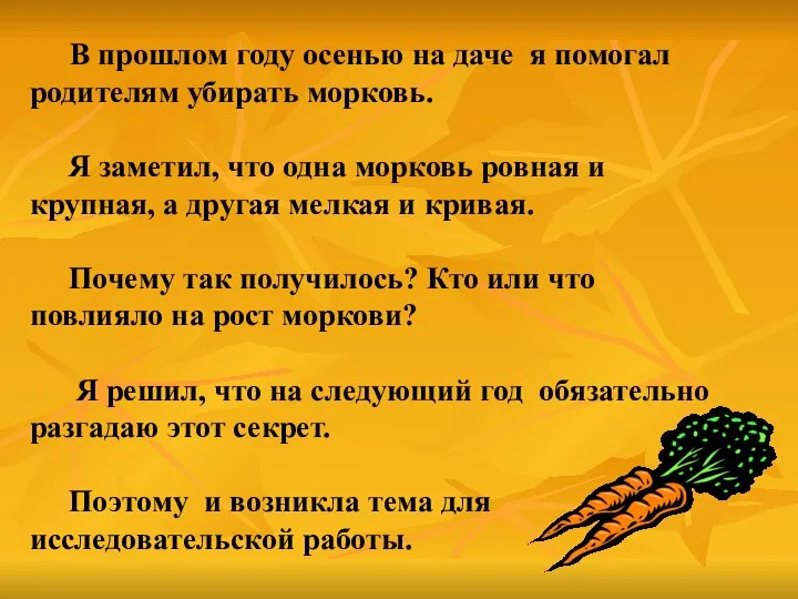 В прошлом году осенью на даче я помогал родителям убирать морковь.