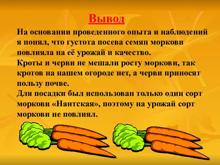 На основании проведенного опыта и наблюдений я понял, что густота посева