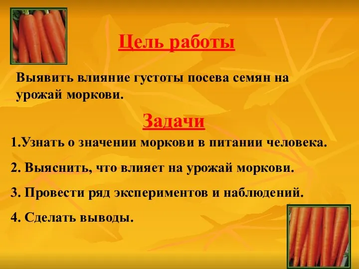 Выявить влияние густоты посева семян на урожай моркови. Цель работы 1.Узнать