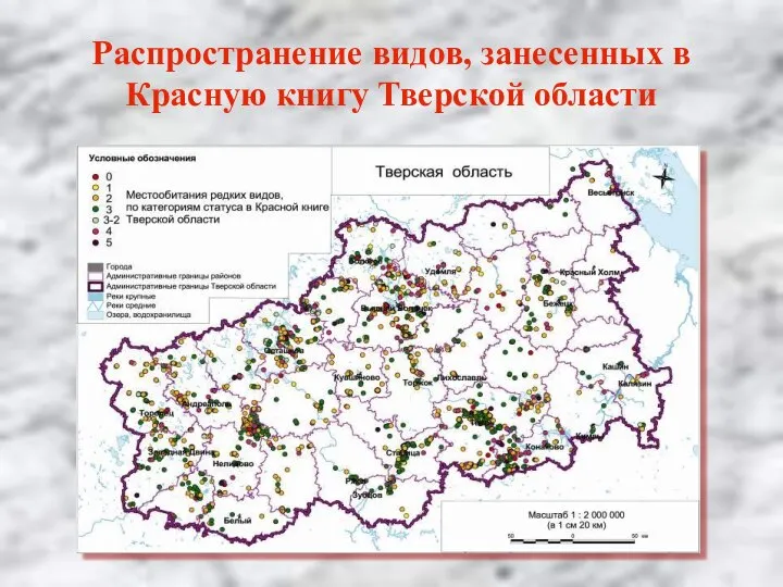 Распространение видов, занесенных в Красную книгу Тверской области
