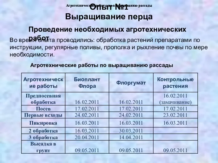 Опыт №1 Выращивание перца Проведение необходимых агротехнических работ Во время опыта