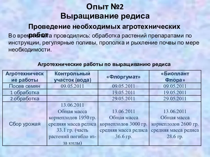 Опыт №2 Выращивание редиса Проведение необходимых агротехнических работ Во время опыта