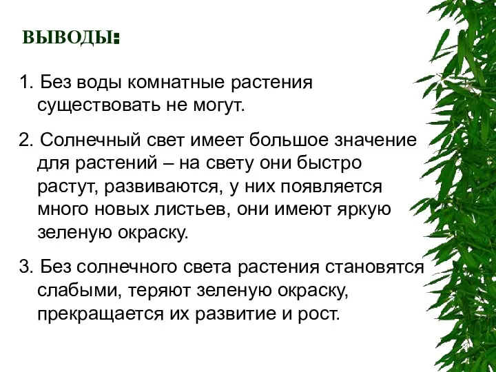 ВЫВОДЫ: 1. Без воды комнатные растения существовать не могут. 2. Солнечный