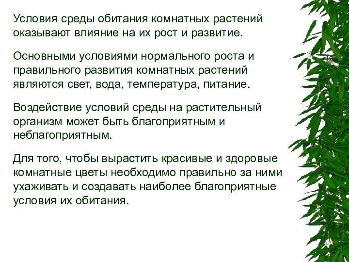 Условия среды обитания комнатных растений оказывают влияние на их рост и