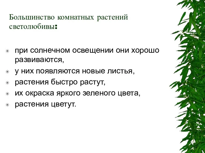 Большинство комнатных растений светолюбивы: при солнечном освещении они хорошо развиваются, у