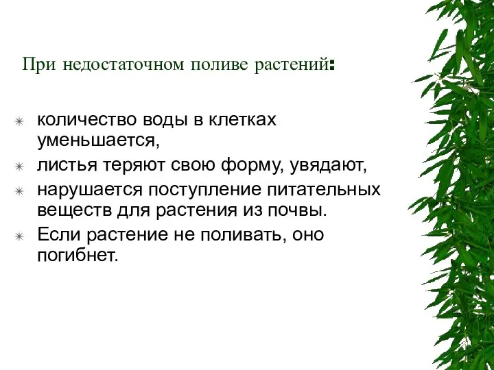 При недостаточном поливе растений: количество воды в клетках уменьшается, листья теряют