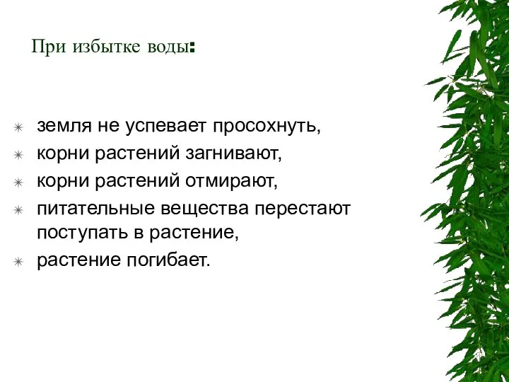 При избытке воды: земля не успевает просохнуть, корни растений загнивают, корни