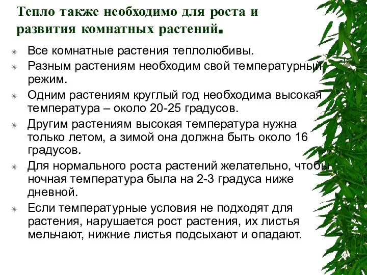 Тепло также необходимо для роста и развития комнатных растений. Все комнатные