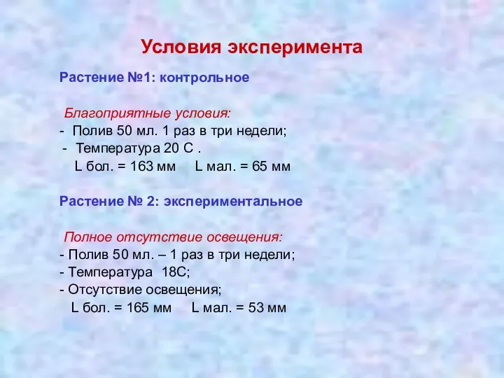 Условия эксперимента Растение №1: контрольное Благоприятные условия: - Полив 50 мл.