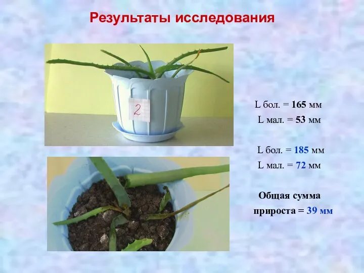 Результаты исследования L бол. = 165 мм L мал. = 53