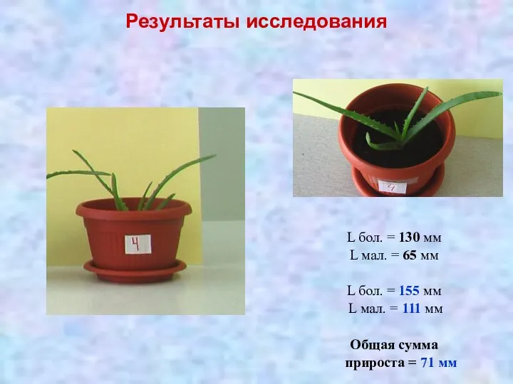 Результаты исследования L бол. = 130 мм L мал. = 65