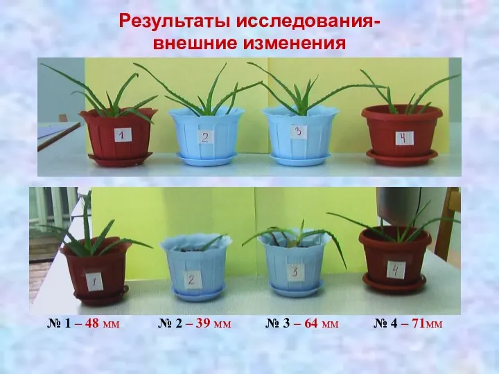 Результаты исследования- внешние изменения № 1 – 48 мм № 2