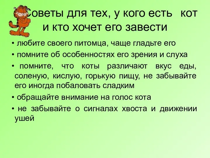 Советы для тех, у кого есть кот и кто хочет его