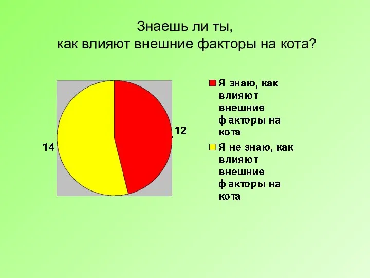 Знаешь ли ты, как влияют внешние факторы на кота?