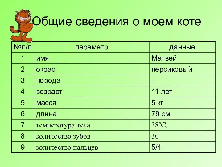 Общие сведения о моем коте