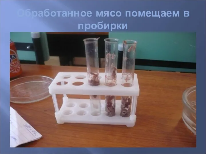 Обработанное мясо помещаем в пробирки