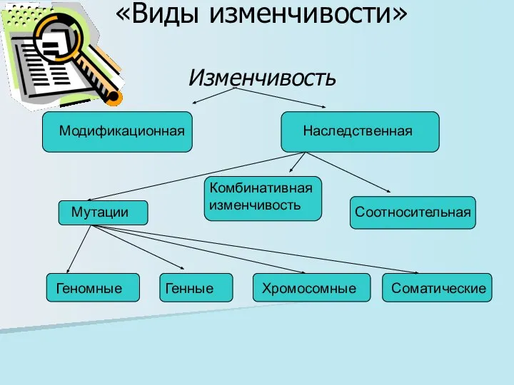 «Виды изменчивости» Изменчивость Модификационная Наследственная Мутации Комбинативная изменчивость Соотносительная Геномные Генные Хромосомные Соматические