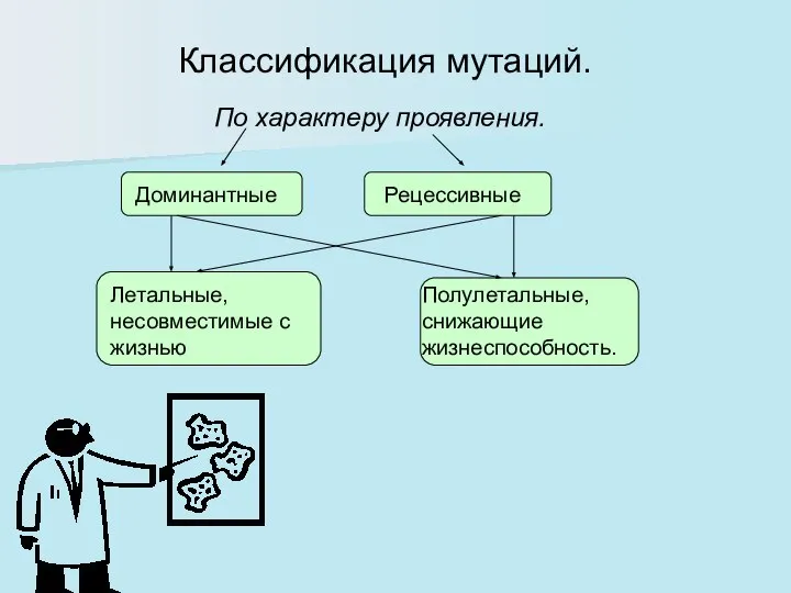 Классификация мутаций. По характеру проявления. Доминантные Рецессивные Летальные, несовместимые с жизнью Полулетальные, снижающие жизнеспособность.