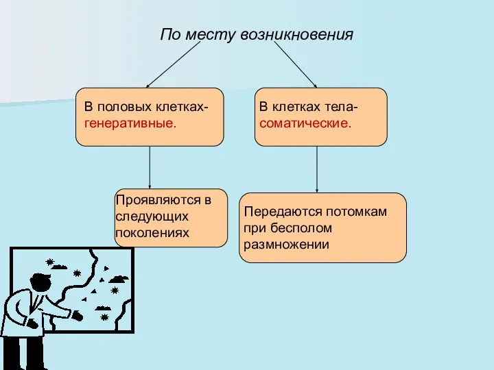 По месту возникновения В половых клетках- генеративные. В клетках тела- соматические.