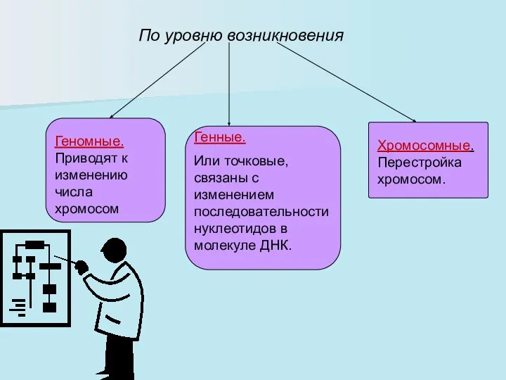 По уровню возникновения Геномные. Приводят к изменению числа хромосом Генные. Или